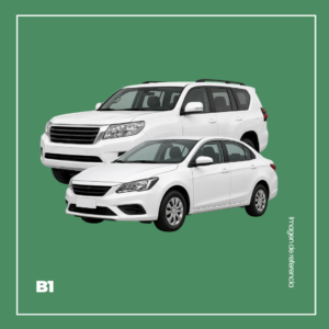 Curso de Conducción Carro B1